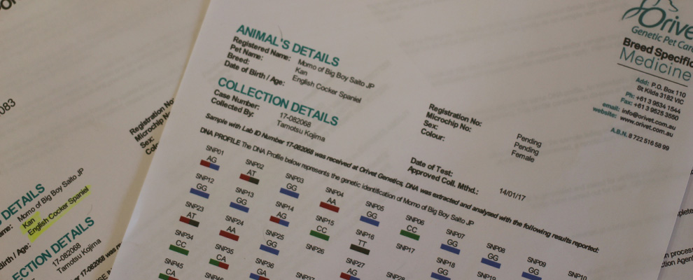 遺伝疾患について